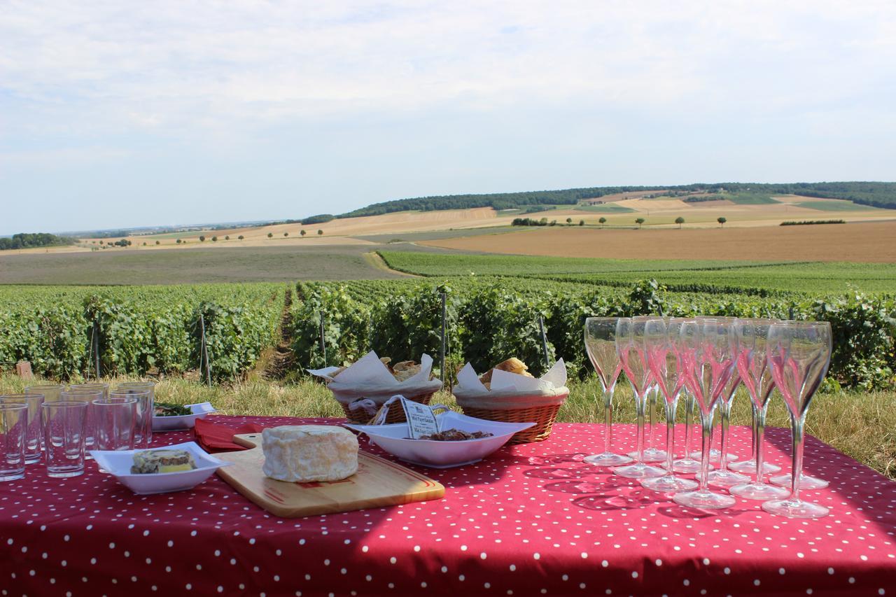 Épernay Maison D'Hotes La Poterne מראה חיצוני תמונה